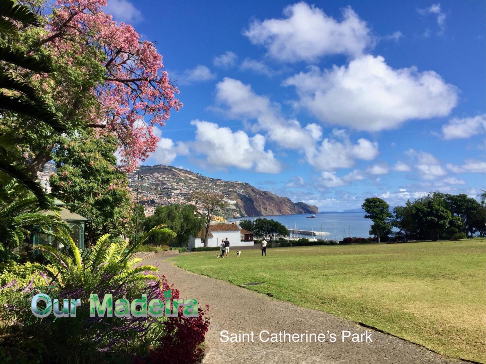 Ourmadeira - Heart Of Old Town I Apartment Фуншал Екстериор снимка