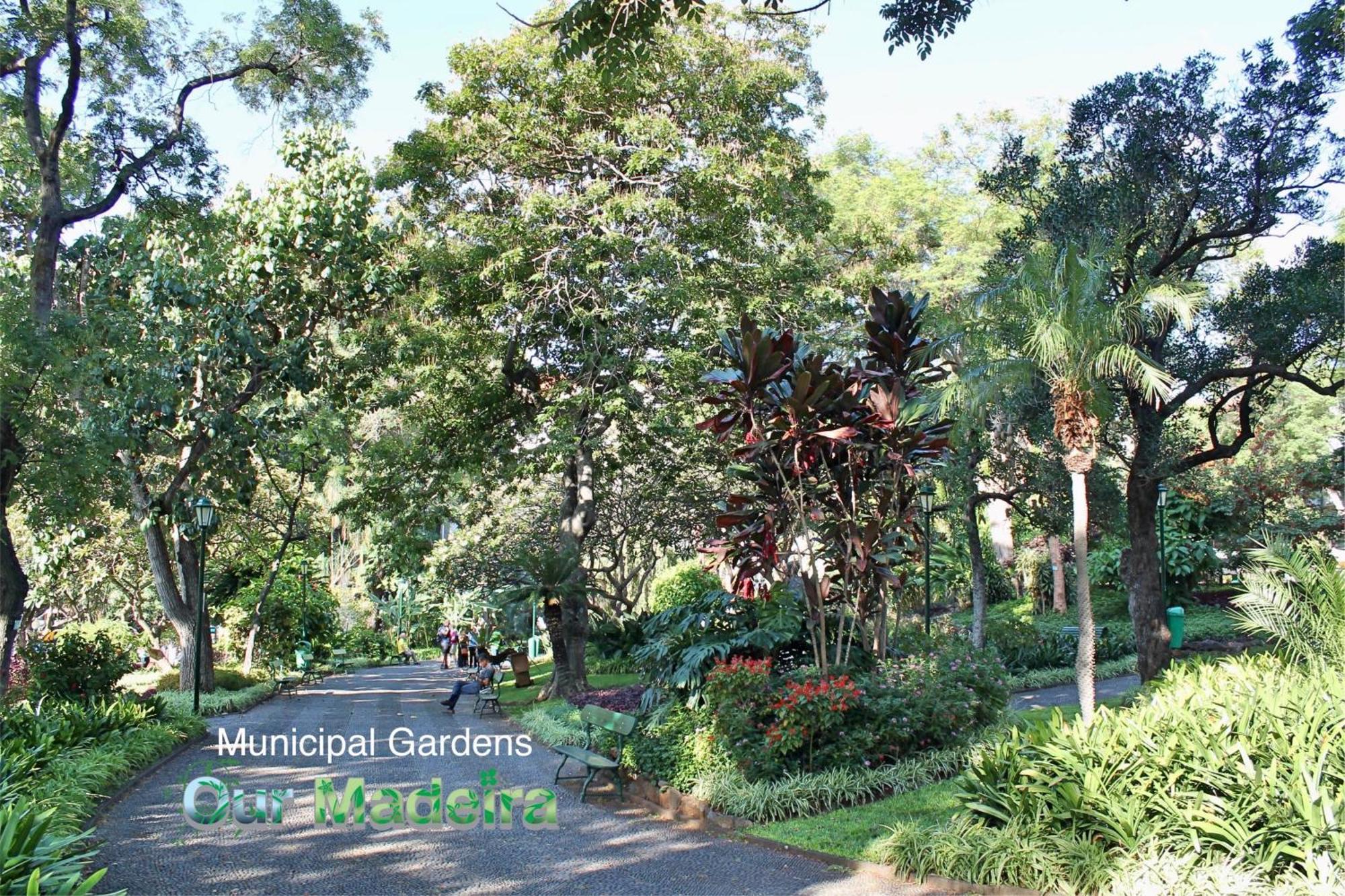 Ourmadeira - Heart Of Old Town I Apartment Фуншал Екстериор снимка