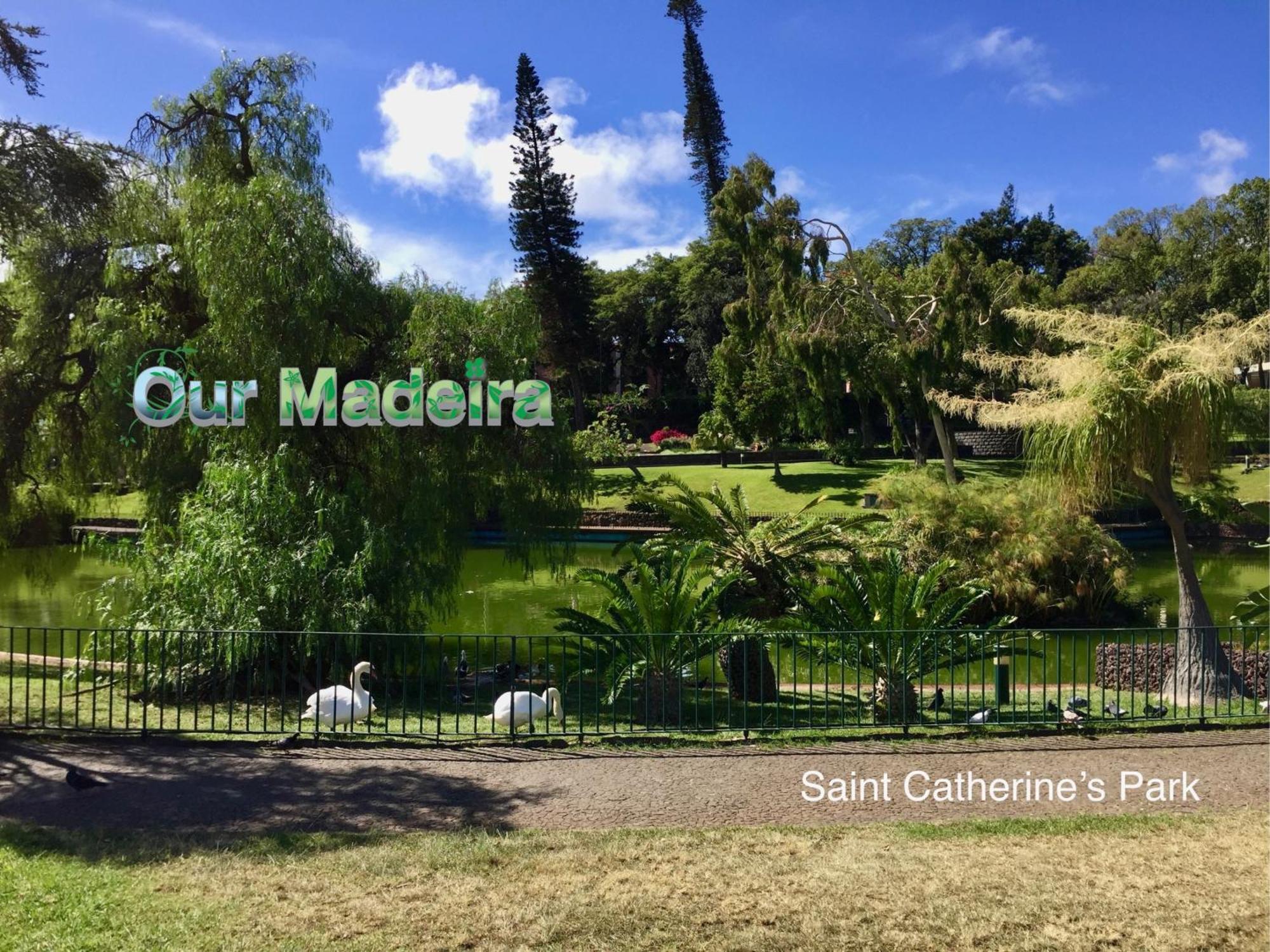 Ourmadeira - Heart Of Old Town I Apartment Фуншал Екстериор снимка